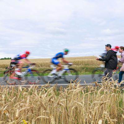 cycling road race championship